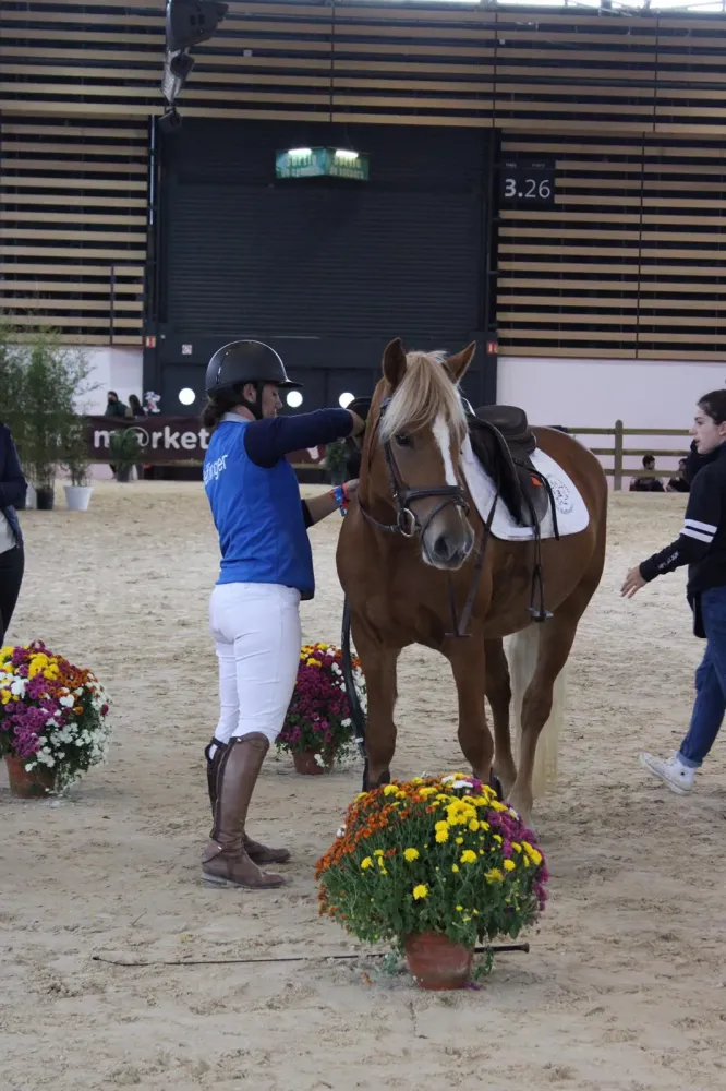 concours-poney