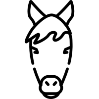 cheval (2)